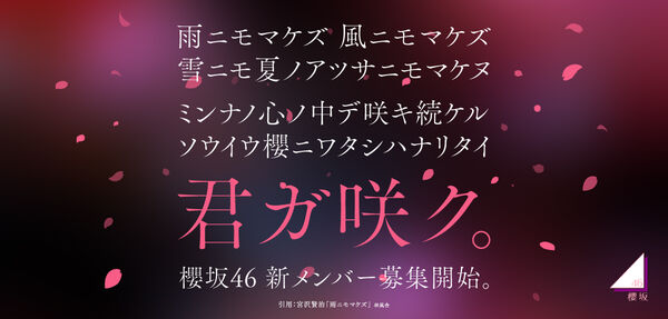 櫻坂46 新メンバーオーディション 開催決定！